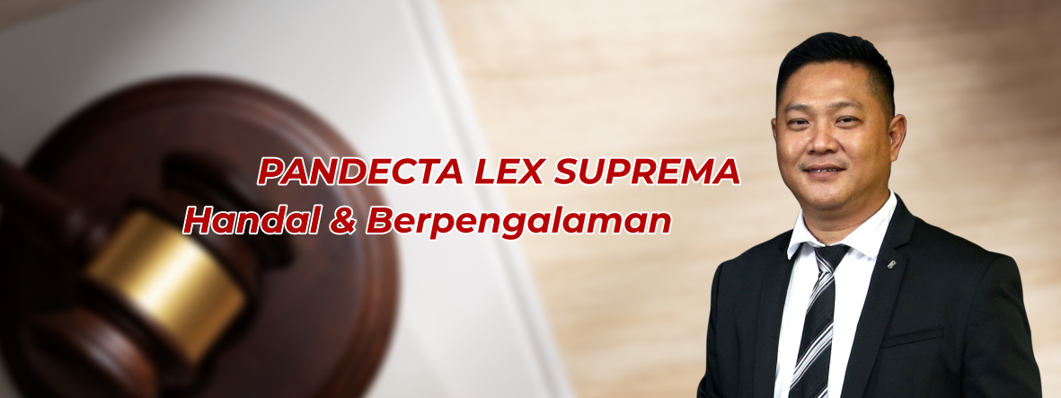 PLS LAW Banner 2